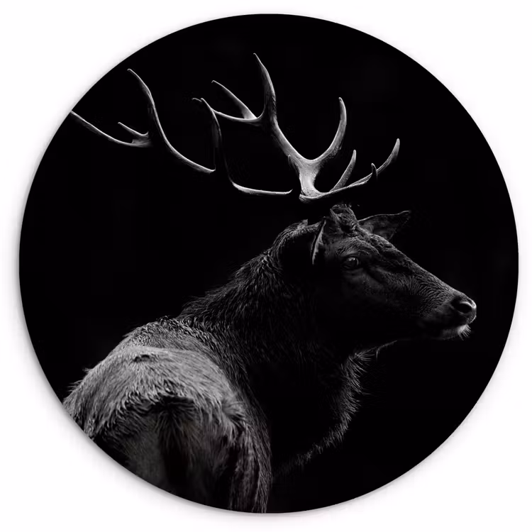 Muurcirkel - Hert - Zwart - Portret - Gewei - Dieren — 1