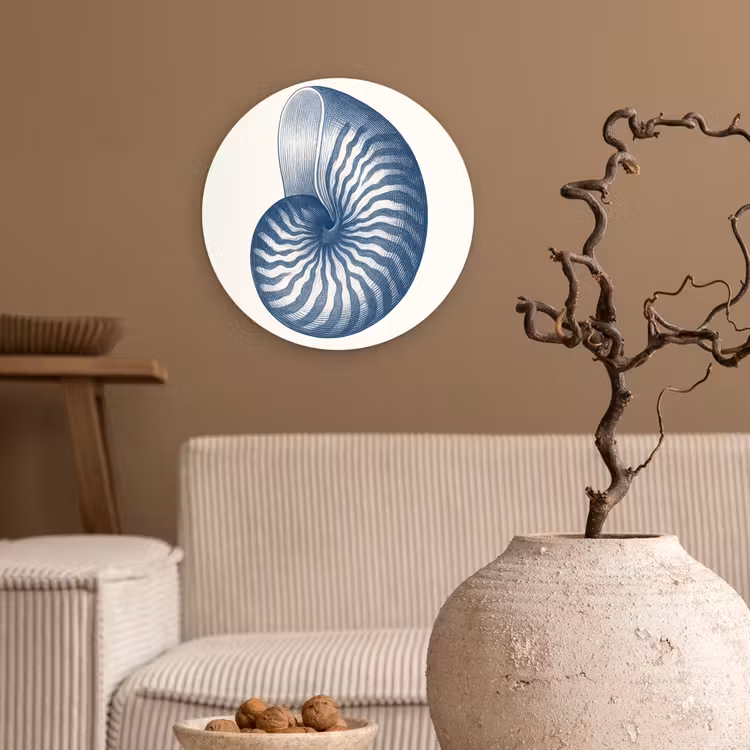 Muurcirkel - Blauw - Schelp - Spiraal — 2