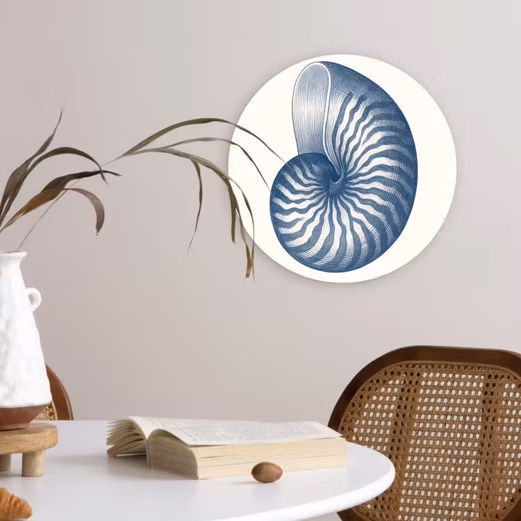 Muurcirkel - Blauw - Schelp - Spiraal — 4