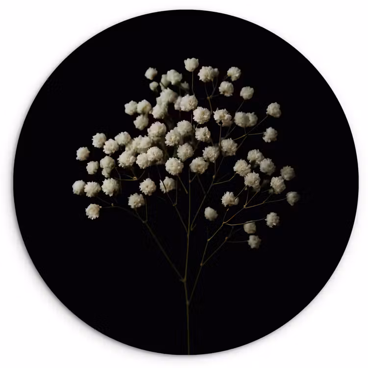 Muurcirkel - Gipskruid - Bloemetjes - Wit - Minimalistisch — 1