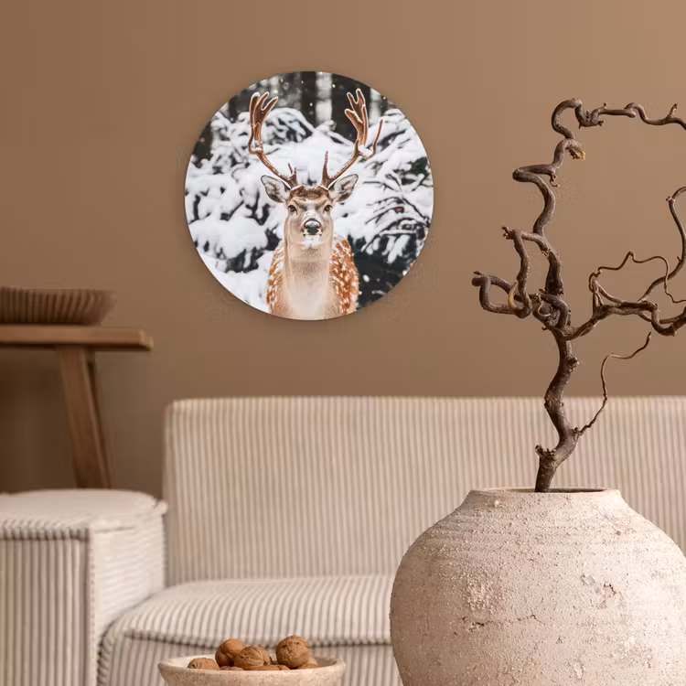 Muurcirkel - Hert - Sneeuw - Winter - Bos - Dieren — 2