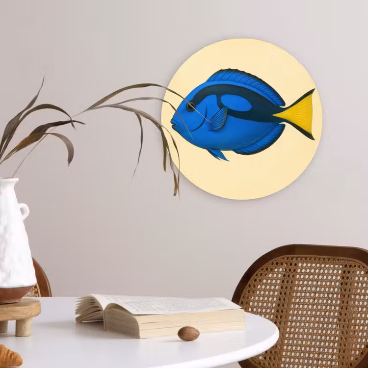 Muurcirkel - Blauw - Dory - Vis - Staartvin — 4