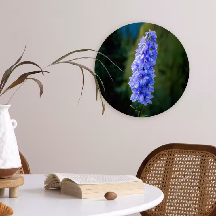 Muurcirkel - Bloemen - Blauw - Dennenboom — 4