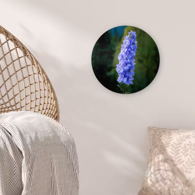 Muurcirkel - Bloemen - Blauw - Dennenboom — 5