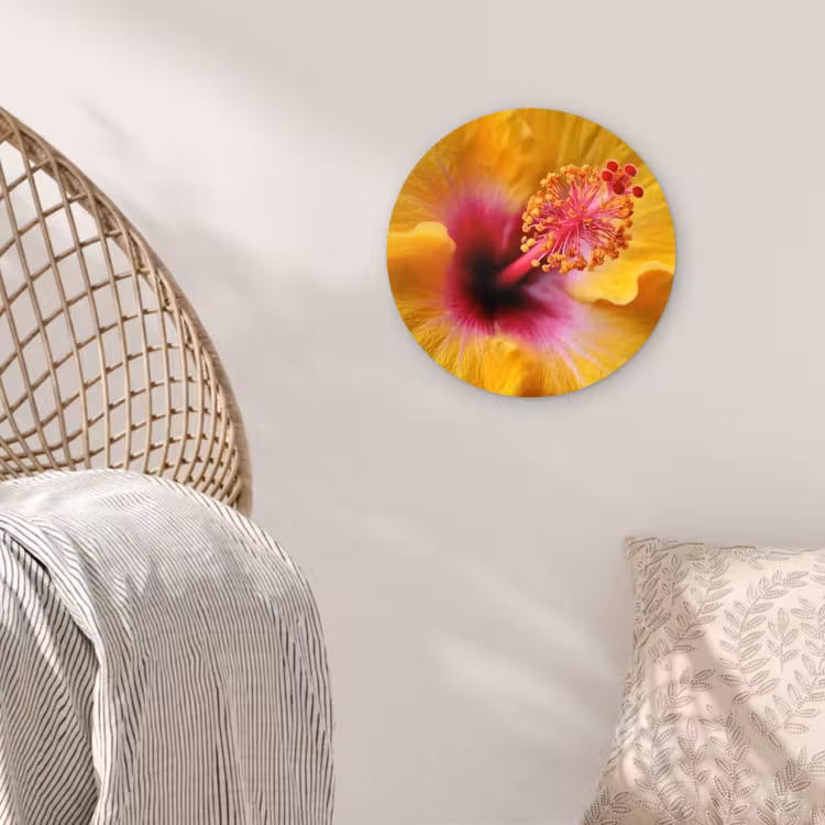 Muurcirkel - Geel - Hibiscus - Tropisch — 5