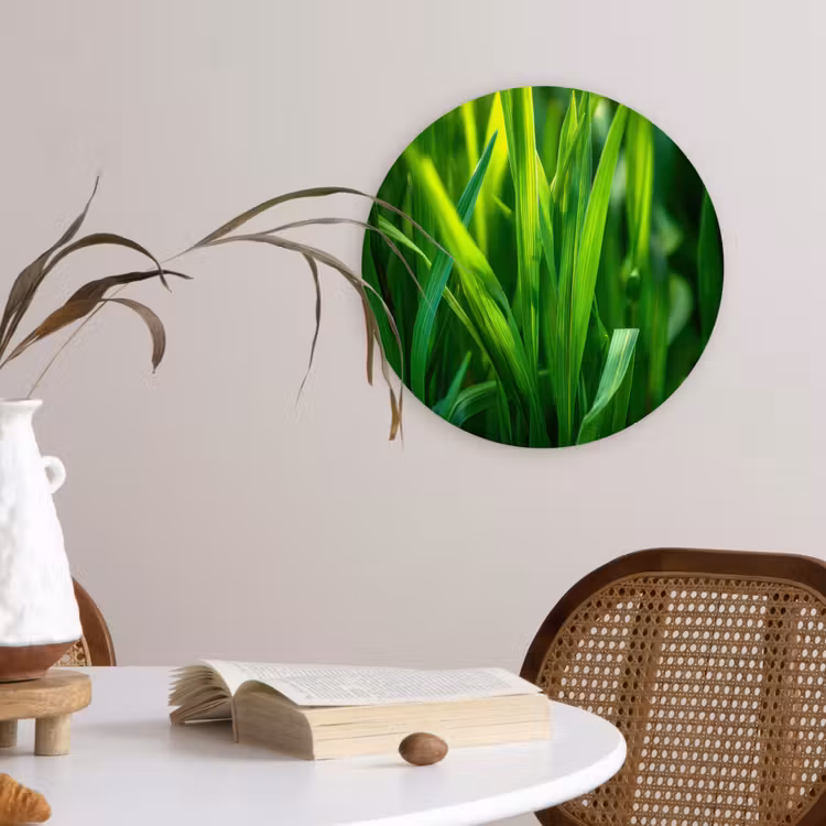 Muurcirkel - Grassprieten - Lichtinval - Groen — 4
