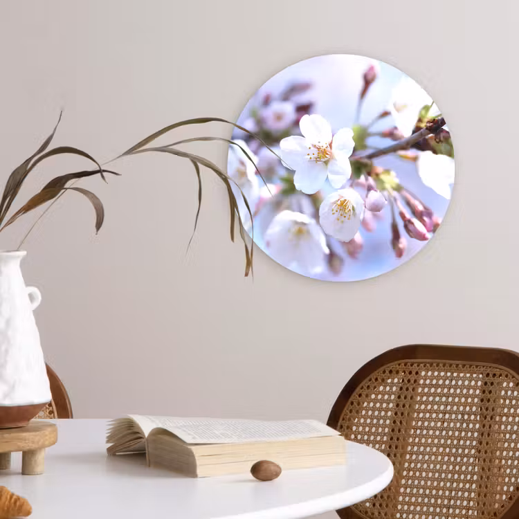 Muurcirkel - Bloemen - Sakura - Tak - Bloesem takken — 4
