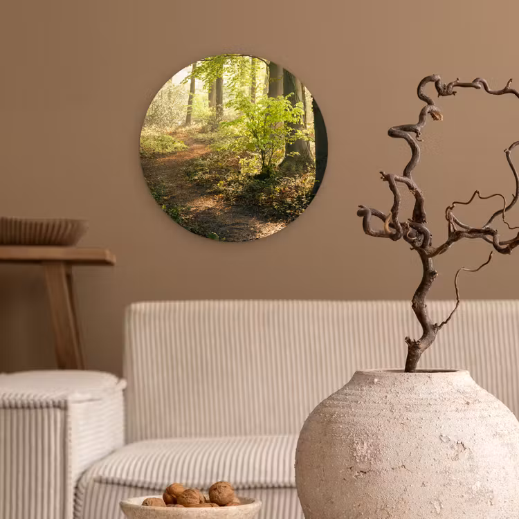 Muurcirkel - Bos - Bomen - Pad - Zon - Planten - Bladeren - Natuur — 2