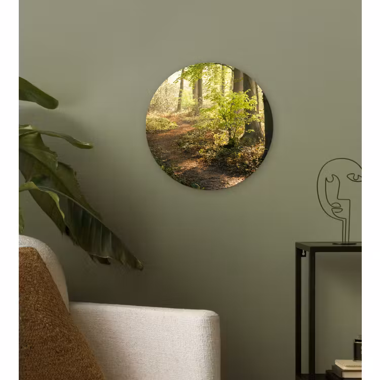 Muurcirkel - Bos - Bomen - Pad - Zon - Planten - Bladeren - Natuur — 3