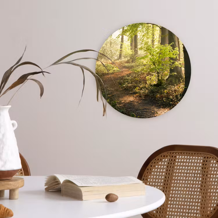 Muurcirkel - Bos - Bomen - Pad - Zon - Planten - Bladeren - Natuur — 4
