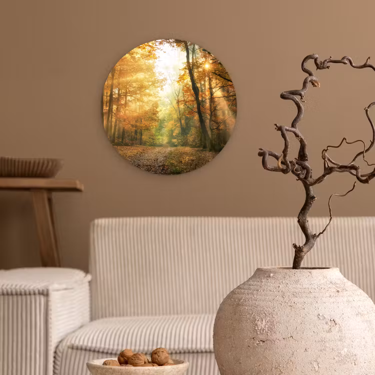 Muurcirkel - Bos - Herfst - Zon - Landschap - Natuur - Bomen - Bladeren — 2