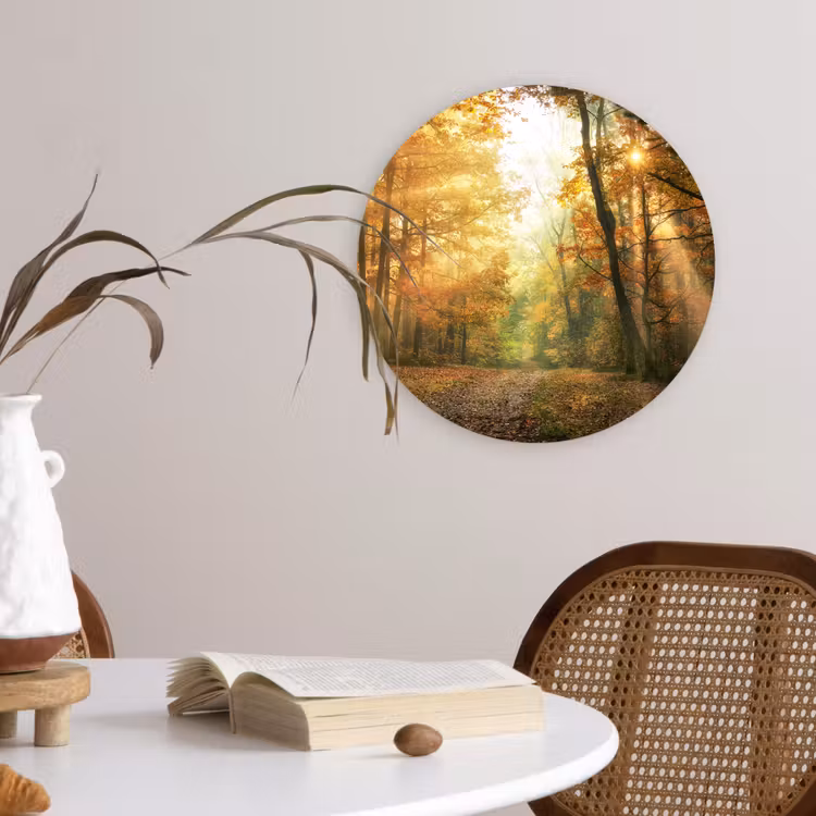 Muurcirkel - Bos - Herfst - Zon - Landschap - Natuur - Bomen - Bladeren — 4