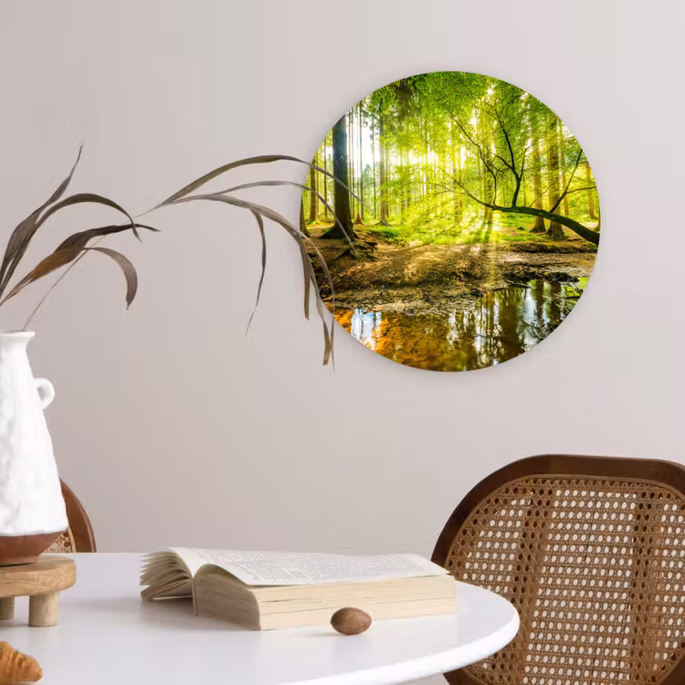 Muurcirkel - Bos - Landschap - Water - Bomen - Zon - Groen - Natuur — 4
