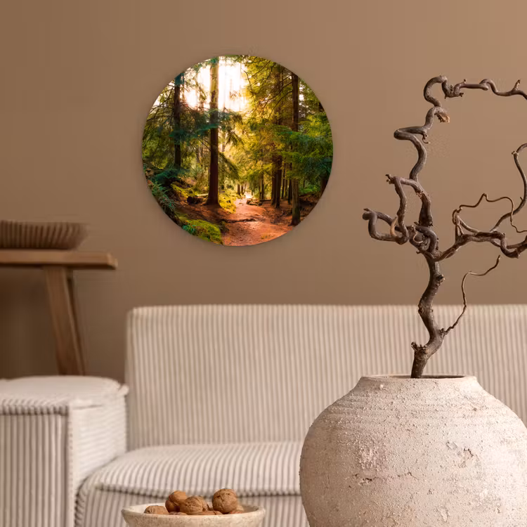 Muurcirkel - Bos - Pad - Bomen - Groen - Zon - Natuur — 2
