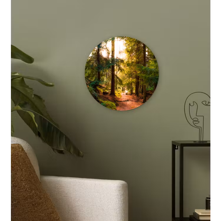 Muurcirkel - Bos - Pad - Bomen - Groen - Zon - Natuur — 3