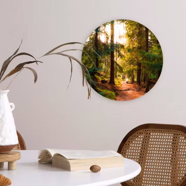 Muurcirkel - Bos - Pad - Bomen - Groen - Zon - Natuur — 4