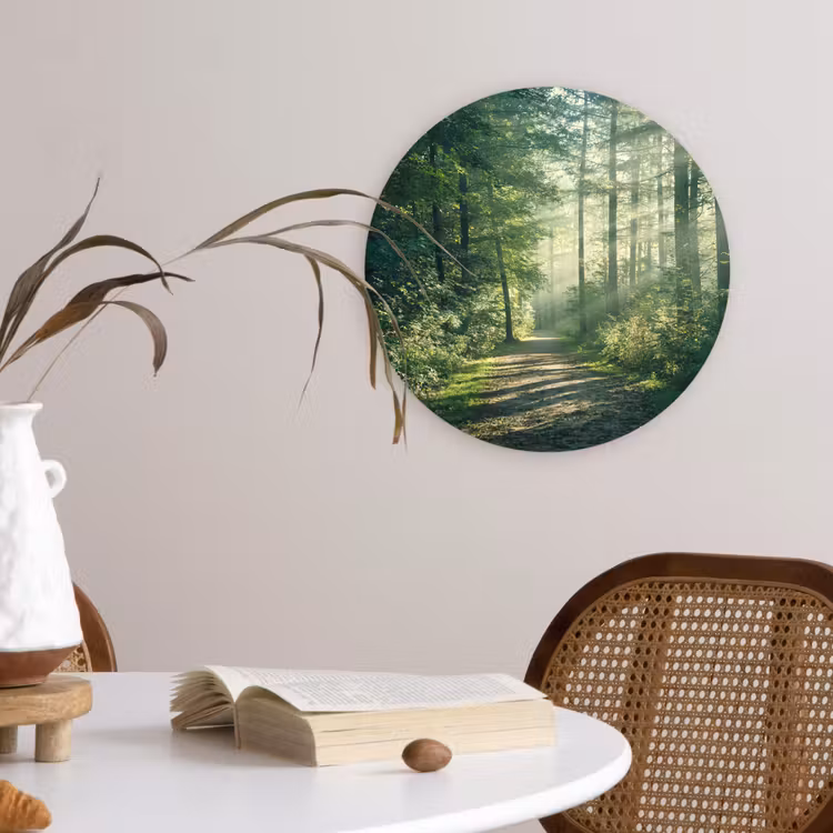 Muurcirkel - Bos - Pad - Zon - Bomen - Groen - Natuur — 4