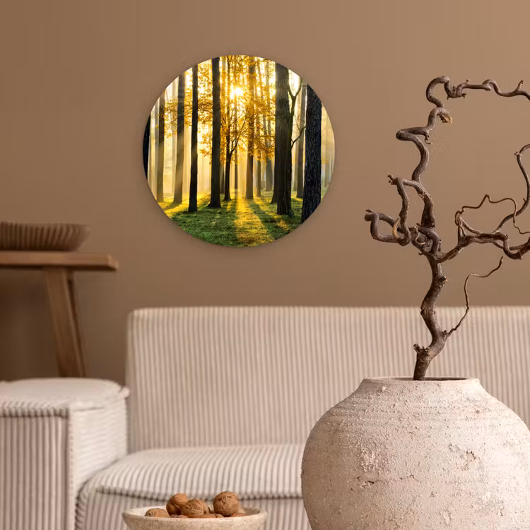 Muurcirkel - Bos - Zon - Bomen - Gras - Landschap - Natuur — 2
