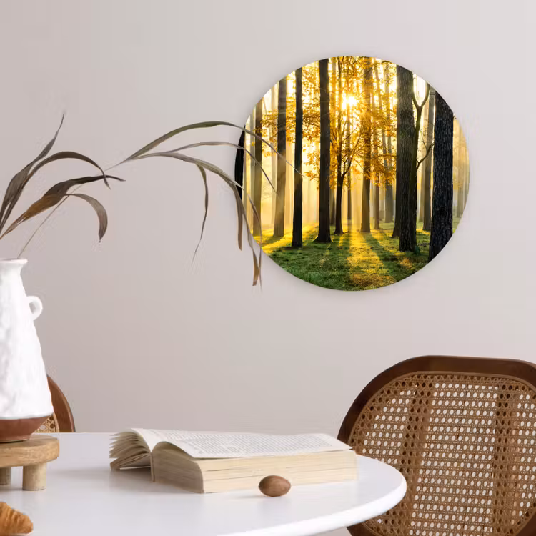 Muurcirkel - Bos - Zon - Bomen - Gras - Landschap - Natuur — 4