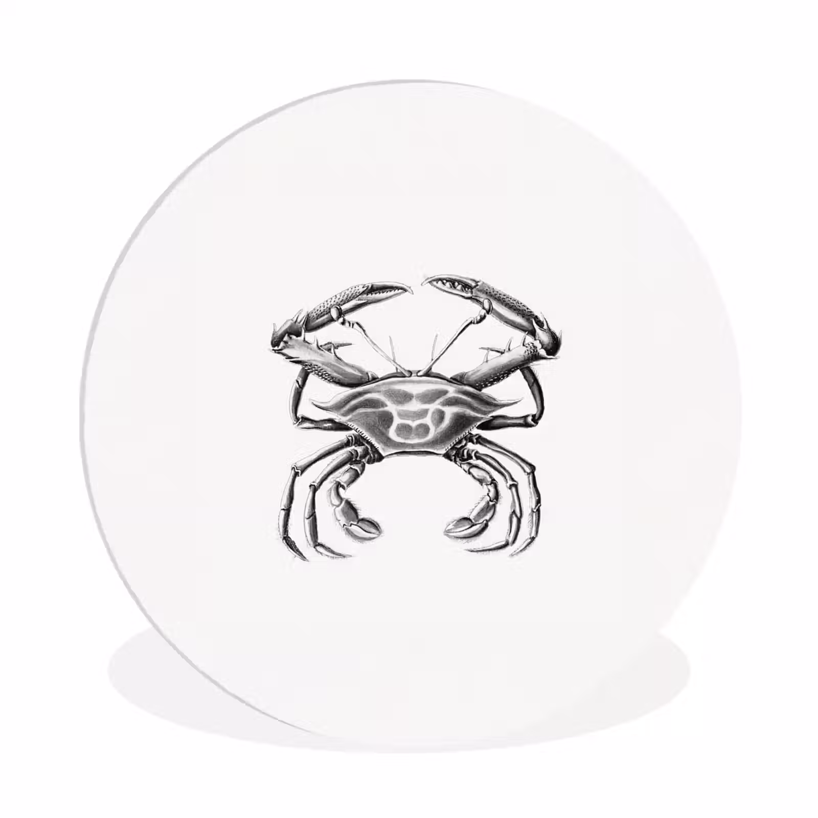 Muurcirkel - Ernst Haeckel - Vintage - Kunst - Krab — 1