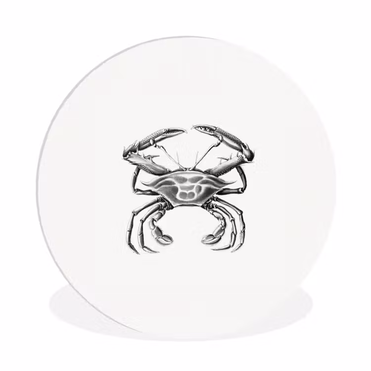 Muurcirkel - Ernst Haeckel - Vintage - Kunst - Krab — 1