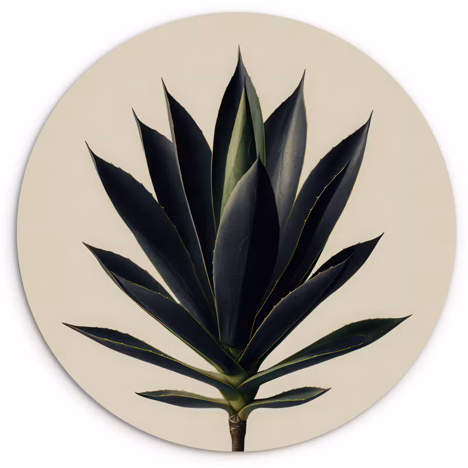 Muurcirkel - Agaveplant - Symmetrisch - Groen — 1