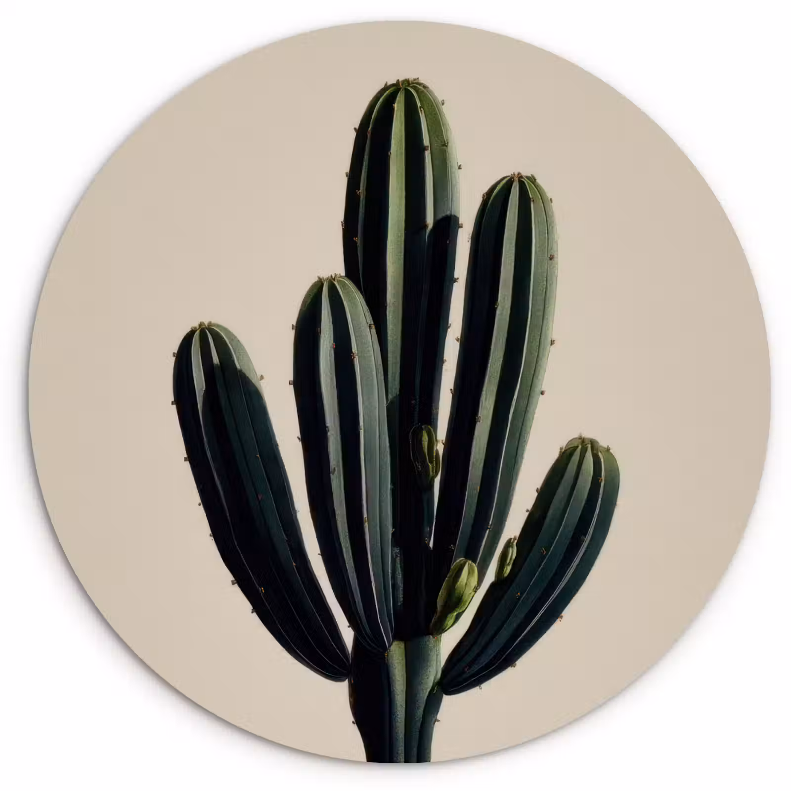 Muurcirkel - Cactus - Subtiel - Groen — 1