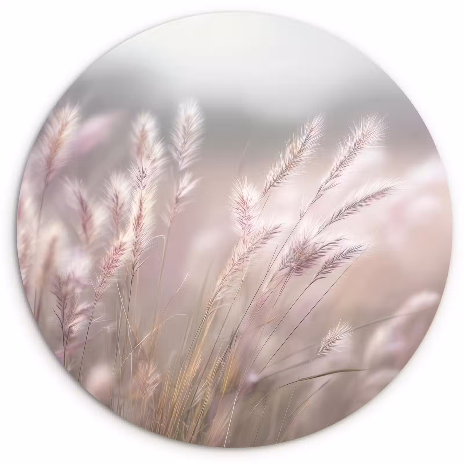 Muurcirkel - Graspluimen - Wind - Beige - Mistig — 1
