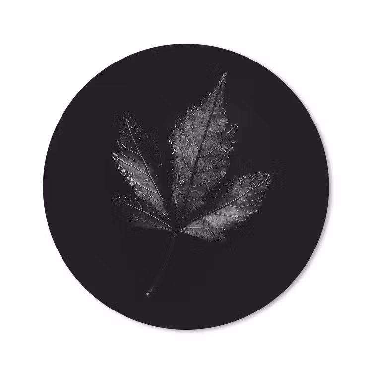 Muismat - Zwart - Blad — 1