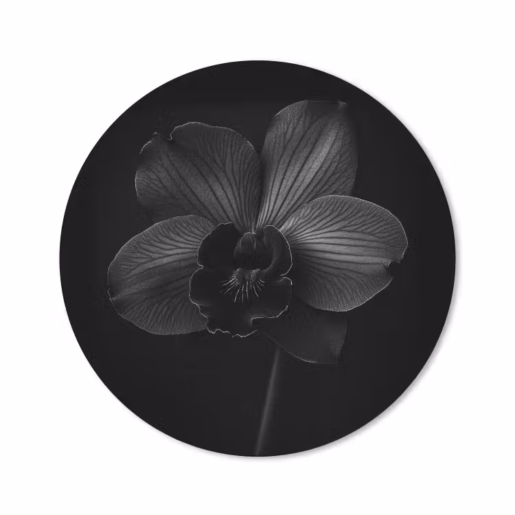 Muismat - Zwart - Bloem - Orchidee — 1