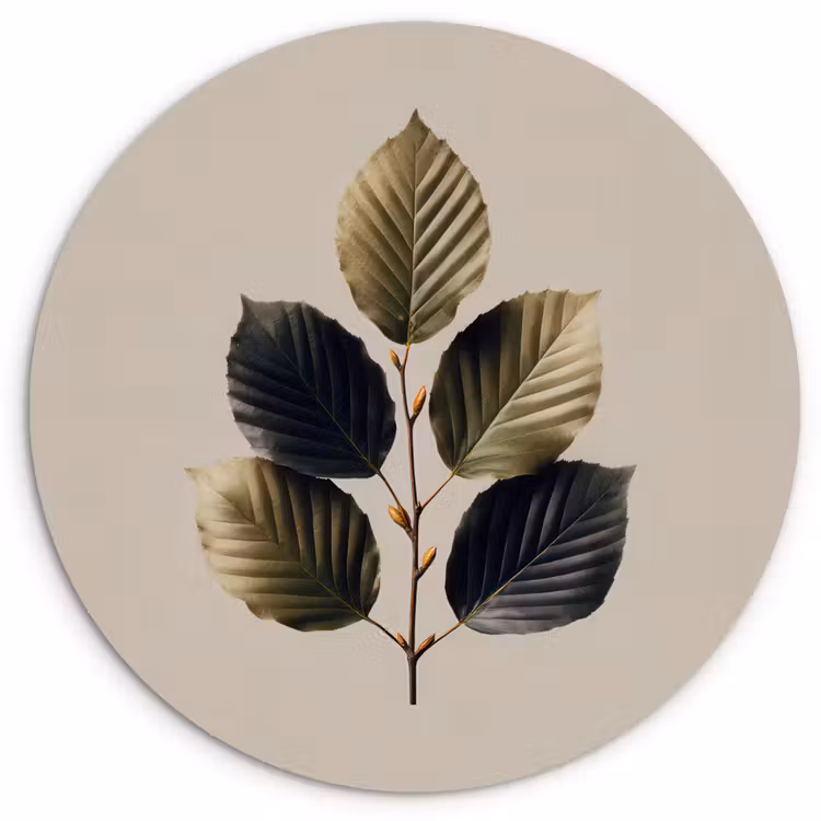 Muurcirkel - Beukenbladeren - Bruin - Groen - neutraal — 1