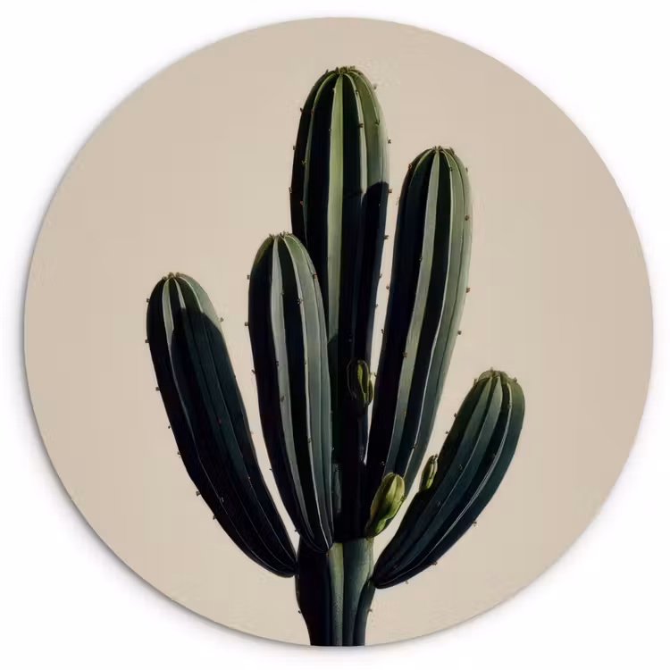 Muurcirkel - Cactus - Subtiel - Groen — 1