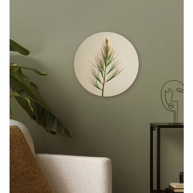 Muurcirkel - Dennentak - Naaldvormige bladeren - Lichtgroen — 3