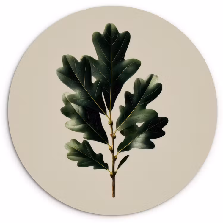 Muurcirkel - Eikenbladeren - Beige - Groen - Golvende randen — 1