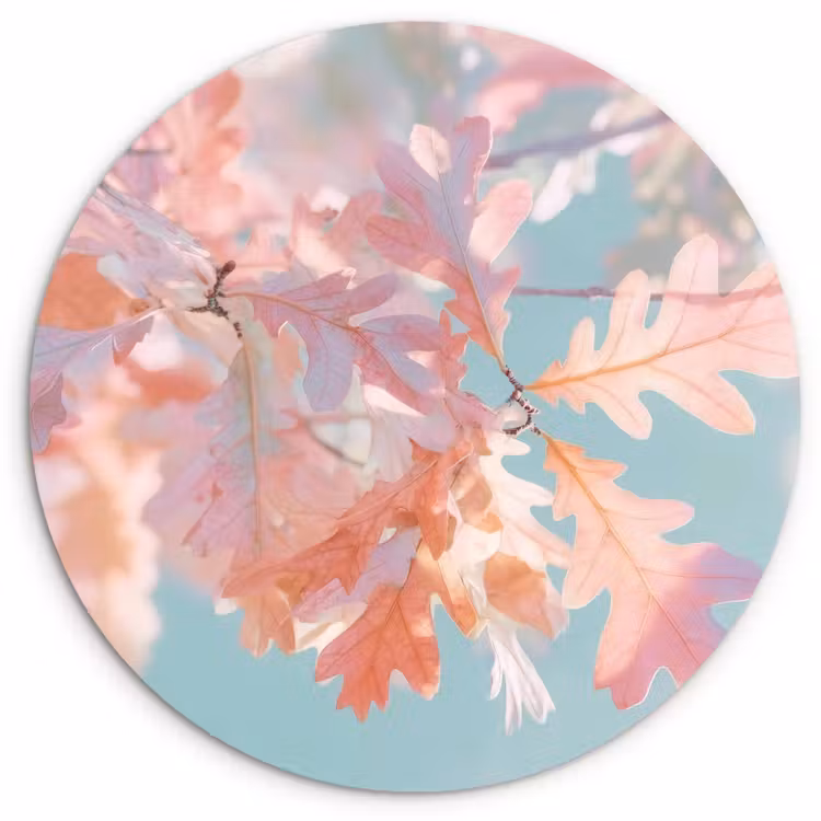 Muurcirkel - Eikenbladeren - Takken - Roze — 1