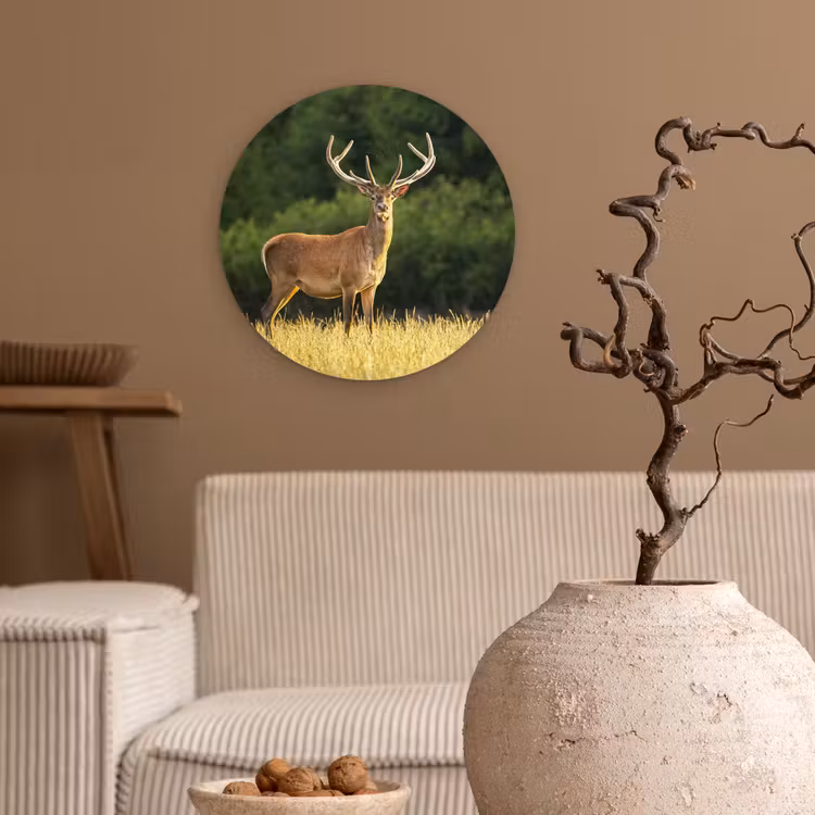 Muurcirkel - Hert - Gewei - Gras - Natuur - Dieren - Groen — 2