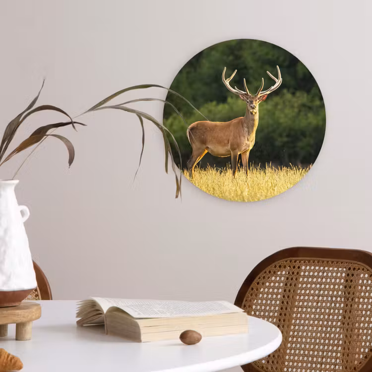 Muurcirkel - Hert - Gewei - Gras - Natuur - Dieren - Groen — 4