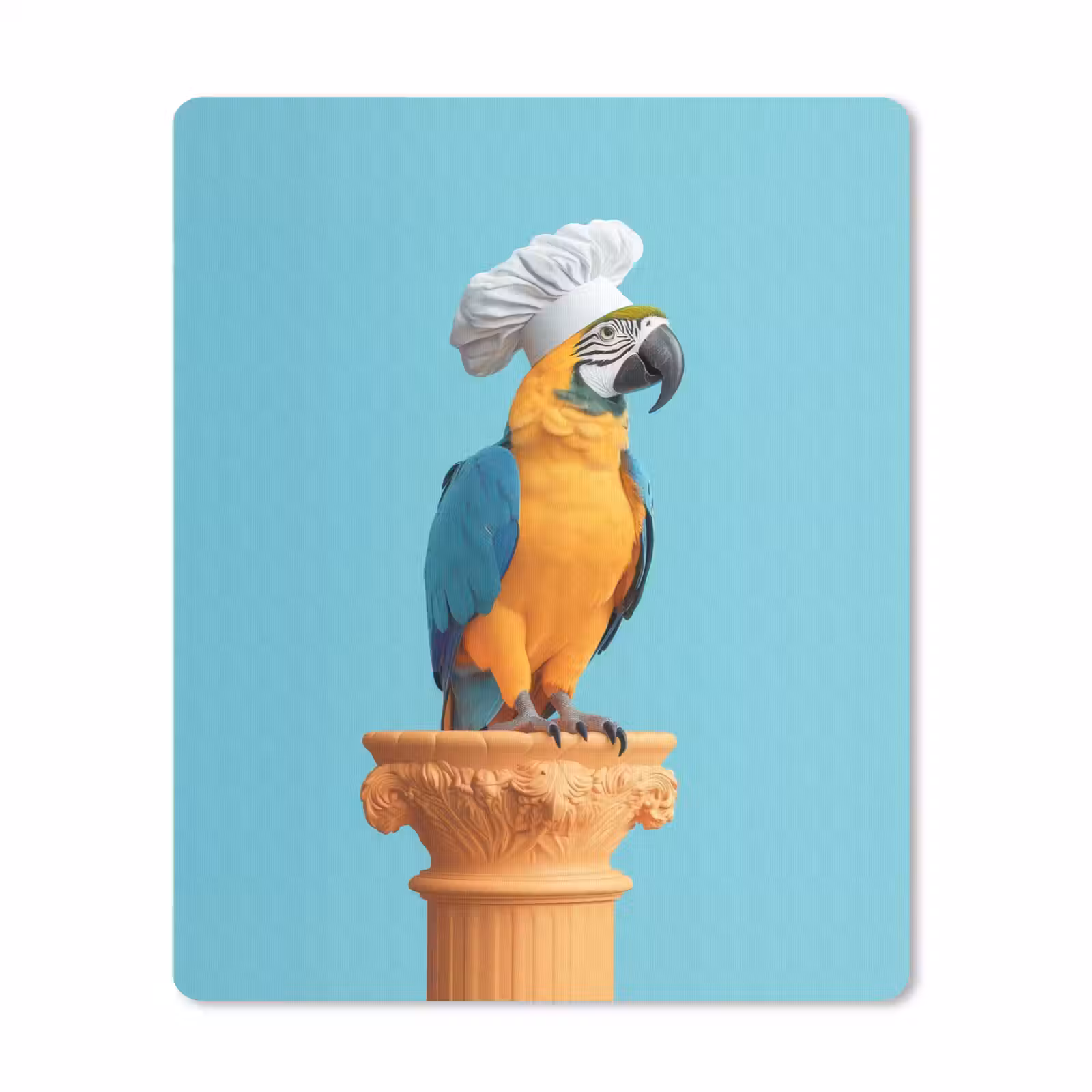 Muismat - Papegaai - Koksmuts - Grappig - Vogel — 1