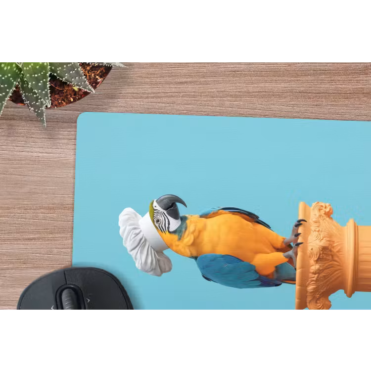 Muismat - Papegaai - Koksmuts - Grappig - Vogel — 5