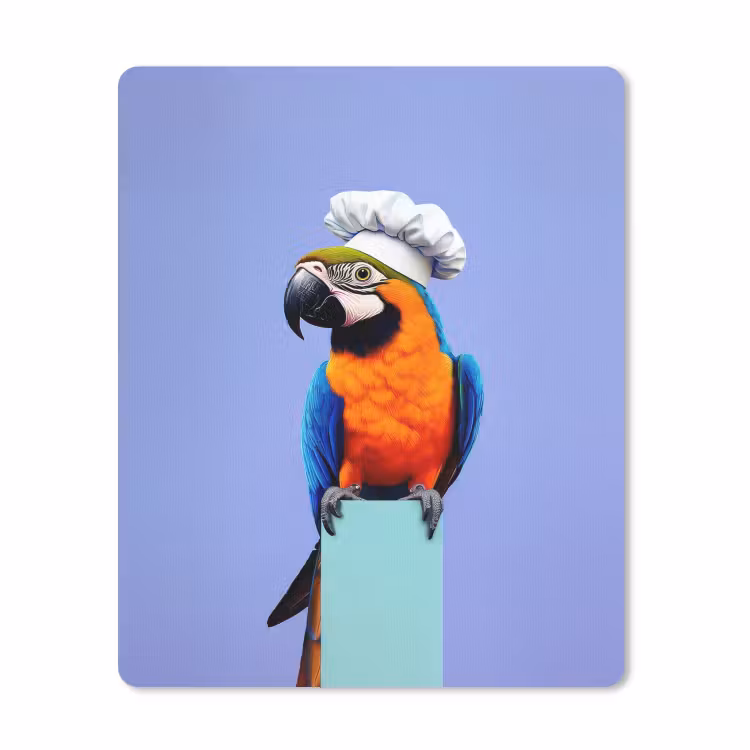 Muismat - Papegaai - Koksmuts - Vogel - Leuk — 1