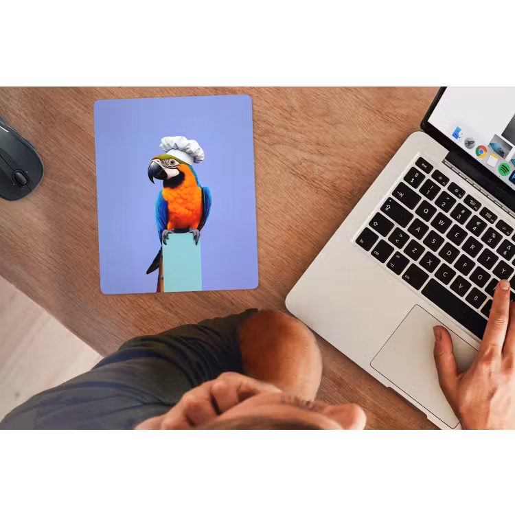 Muismat - Papegaai - Koksmuts - Vogel - Leuk — 2