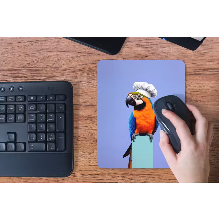 Muismat - Papegaai - Koksmuts - Vogel - Leuk — 3