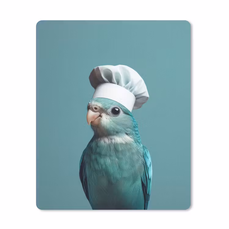 Muismat - Parkiet - Vogel - Koksmuts - Cute — 1