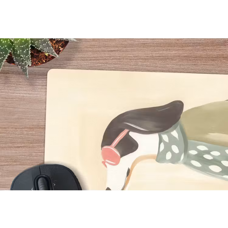 Muismat - Hond - Zonnebril - Sjaal — 5