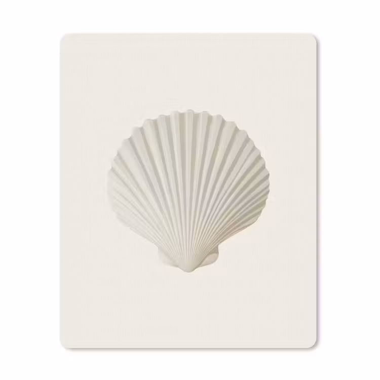 Muismat - Schelp - Minimalistisch - Wit — 1