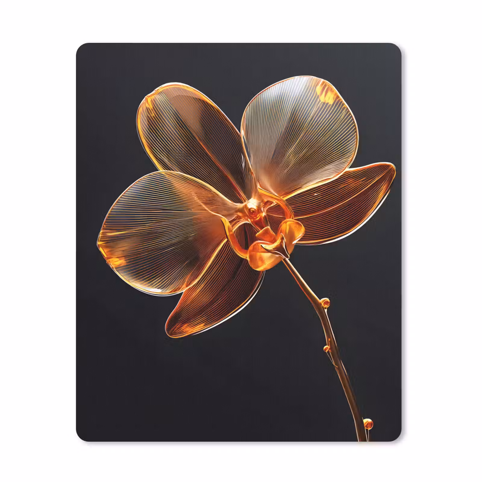 Muismat - Orchidee - Doorzichtig - Bloem — 1