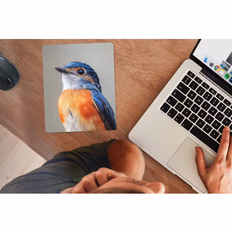 Muismat - Kleurrijk - Vogeltje - Veren - Blauw — 2