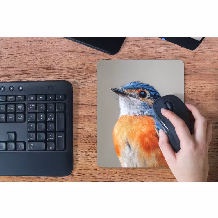 Muismat - Kleurrijk - Vogeltje - Veren - Blauw — 3