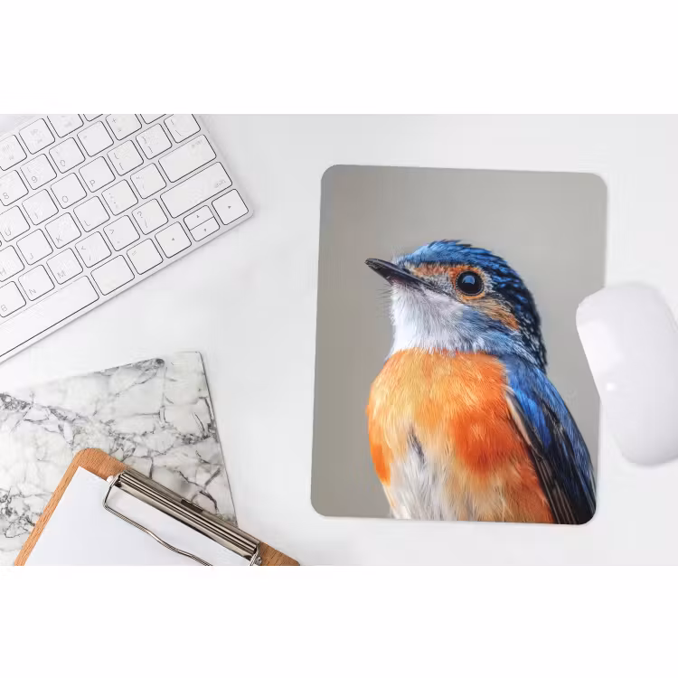 Muismat - Kleurrijk - Vogeltje - Veren - Blauw — 4
