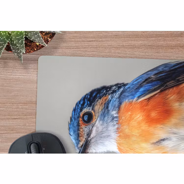 Muismat - Kleurrijk - Vogeltje - Veren - Blauw — 5